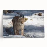 Lynx wall art design on stretched canvas, showcasing a vibrant, detailed depiction of a wild lynx amidst a natural landscape, ideal for wildlife enthusiasts' decor.