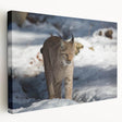 Lynx design stretched canvas wall art showcasing a majestic wild lynx in a natural setting, featuring detailed fur textures and vibrant colors, perfect for wildlife enthusiasts.