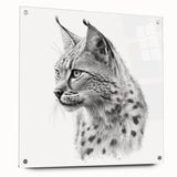 Lynx-themed wall art collection displayed in acrylic glass, showcasing a side view with polished edges and mounting pins, perfect for wildlife decor enthusiasts.