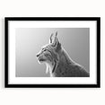 Lynx wall art design framed in black, showcasing a majestic wild lynx against a natural backdrop, perfect for nature lovers and home decor enthusiasts.
