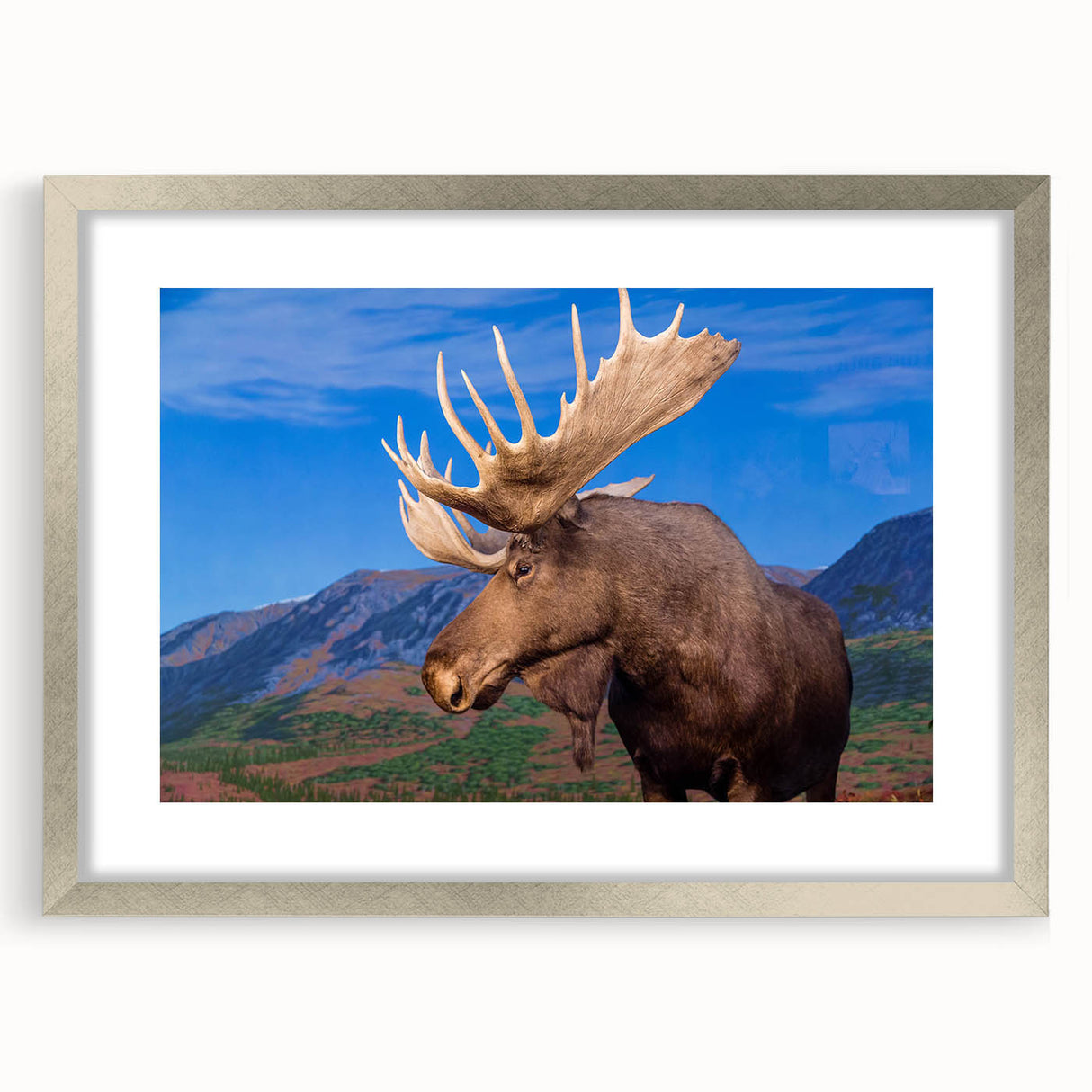 Framed wall art showcasing a detailed moose and elk design, presented in a sleek silver frame with a mat, perfect for wildlife enthusiasts and nature decor.