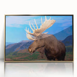 Framed wall art featuring a striking moose and elk design, set against a gold-acrylic background, perfect for wildlife enthusiasts and home decor.