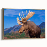 Framed wall art featuring a side view of a moose and elk design, set against a gold background. Ideal for wildlife enthusiasts, this canvas decor adds elegance to any space.
