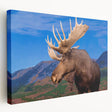Stretched canvas wall art depicting a side view of a moose and elk in a serene natural setting, showcasing detailed wildlife design in earthy tones, perfect for nature lovers.