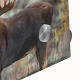 Close-up of an acrylic glass wall art piece featuring a moose and elk design, showcasing vibrant colors and intricate details, perfect for wildlife enthusiasts.