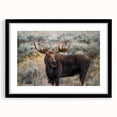 Black-framed wall art showcasing a moose and elk design, part of a 12-piece wildlife collection, ideal for nature-themed decor. Perfect for animal lovers.