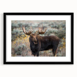 Black-framed wall art showcasing a moose and elk design, part of a 12-piece wildlife collection, ideal for nature-themed decor. Perfect for animal lovers.
