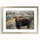 Framed wall art collection showcasing a moose and elk design, featuring a sleek silver frame and mat, ideal for enhancing rustic or wildlife-themed decor.