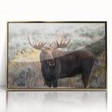 Framed wall art collection featuring a moose and elk design in a gold-acrylic frame, showcasing vibrant colors and intricate details, perfect for nature lovers' decor.