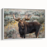 Framed wall art collection showcasing a moose and elk design, featuring detailed wildlife illustrations with earthy tones, perfect for nature enthusiasts' decor.