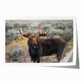 Moose and elk wall art collection rolled print showcasing intricate wildlife designs, featuring detailed illustrations on high-quality paper, ideal for nature enthusiasts.