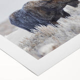 A rolled canvas showcasing a detailed wildlife design featuring a moose and elk, perfect for nature lovers and home decor enthusiasts. The artwork captures the essence of the wilderness with vibrant colors and intricate details, making it an ideal addition to any space.