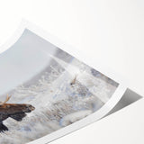 Moose and elk design wall art collection rolled print showcasing intricate wildlife illustrations in earthy tones, ideal for nature enthusiasts' decor.