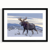 Framed wall art featuring a moose and elk design from the "Animals A Wild Life" collection, presented in a sleek black frame with a mat, showcasing wildlife artistry for home decor.
