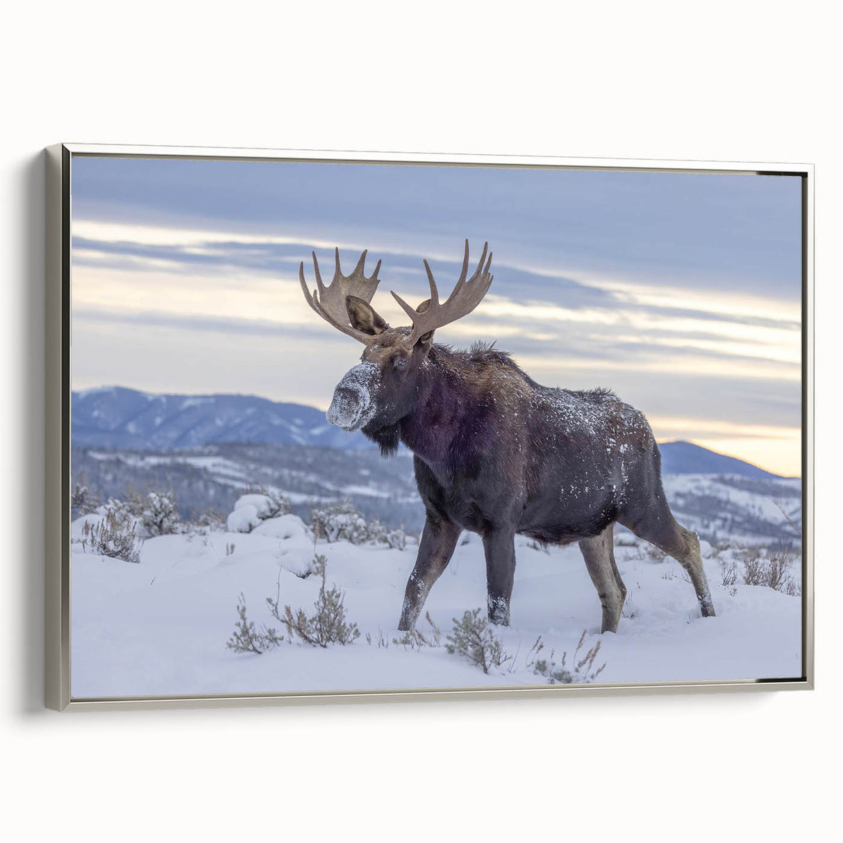 Framed wall art showcasing a moose and elk design in a silver frame, highlighting intricate details of wildlife in a serene forest setting, perfect for nature enthusiasts.