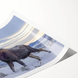 Moose and elk wildlife wall art print showcasing intricate designs in earthy tones, rolled and ready for framing, perfect for nature enthusiasts and home decor.