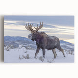 Stretched canvas wall art featuring a striking moose and elk design, showcasing vibrant colors and intricate details against a natural backdrop, perfect for wildlife enthusiasts.