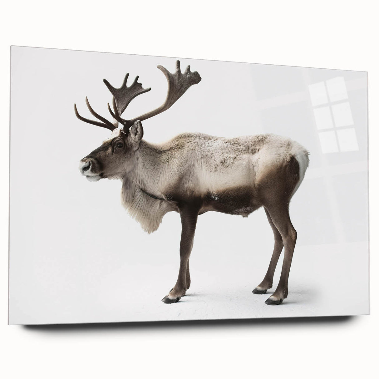 Moose and elk wall art collection featuring a striking acrylic glass design, showcasing wildlife in rich colors and detailed textures, ideal for nature enthusiasts.