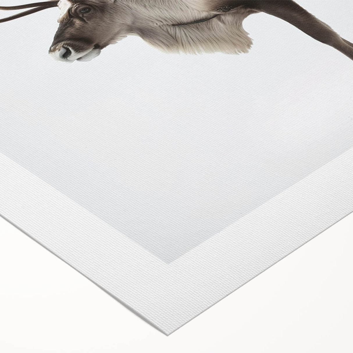 Moose and elk design wall art collection on rolled canvas, showcasing detailed wildlife illustrations with earthy tones, perfect for nature enthusiasts' decor.
