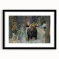 Moose and elk-themed wall art collection framed with a black mat, showcasing intricate wildlife designs, ideal for nature enthusiasts and home decor.