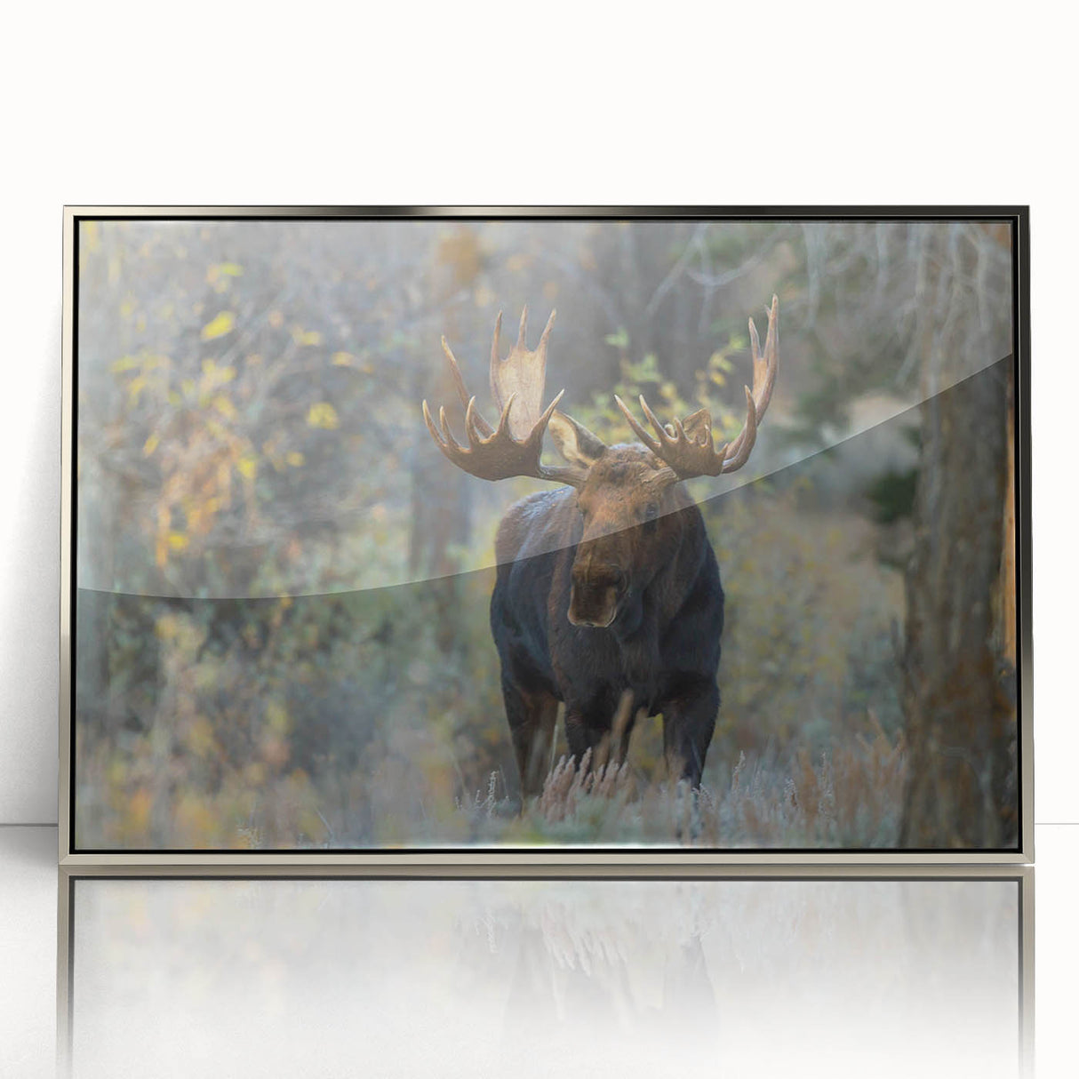 Framed wall art featuring a moose and elk design in a silver acrylic frame, showcasing detailed wildlife illustrations in a serene natural setting, perfect for nature enthusiasts.