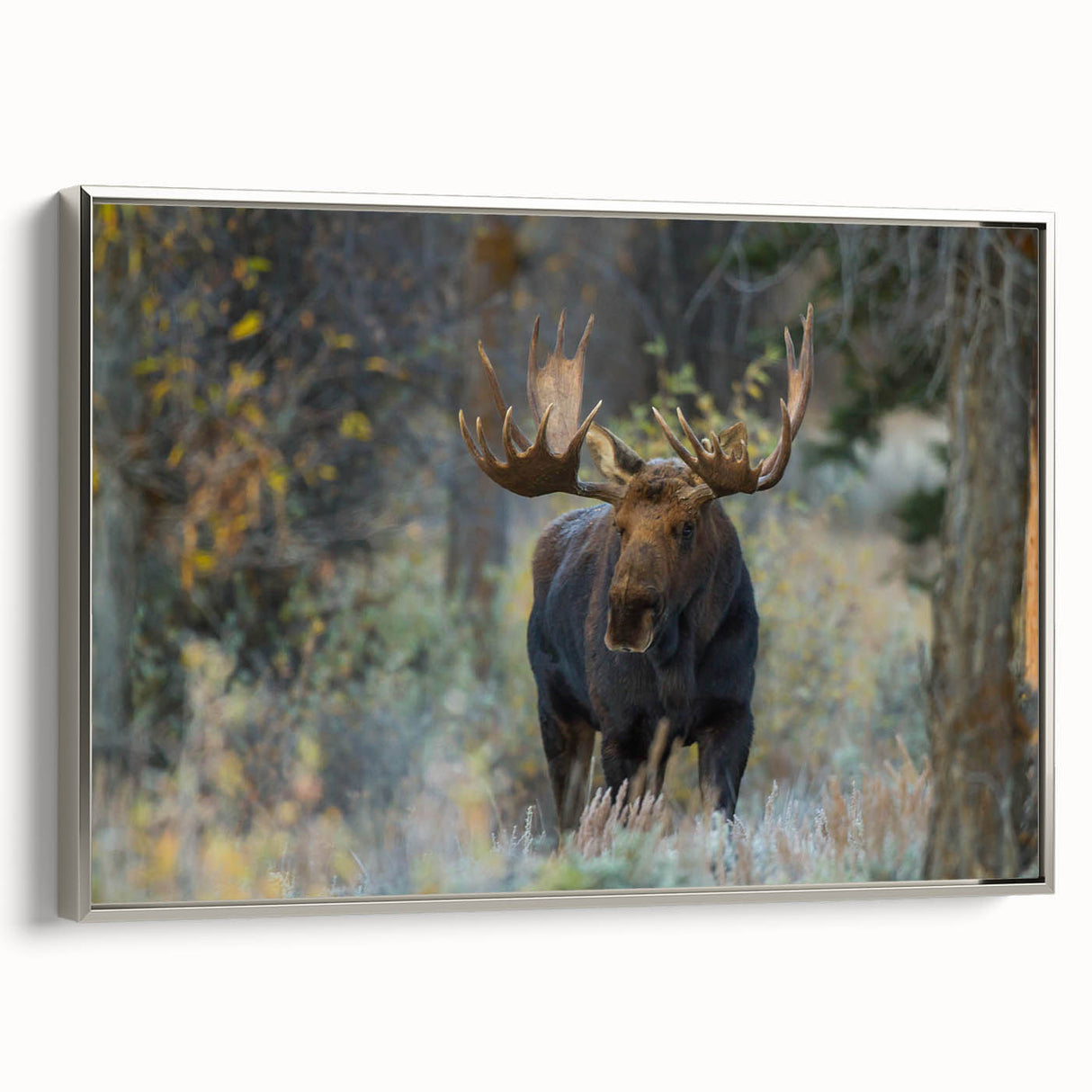 Framed wall art collection showcasing a moose and elk design, featuring intricate animal illustrations in natural colors, ideal for wildlife enthusiasts and home decor.