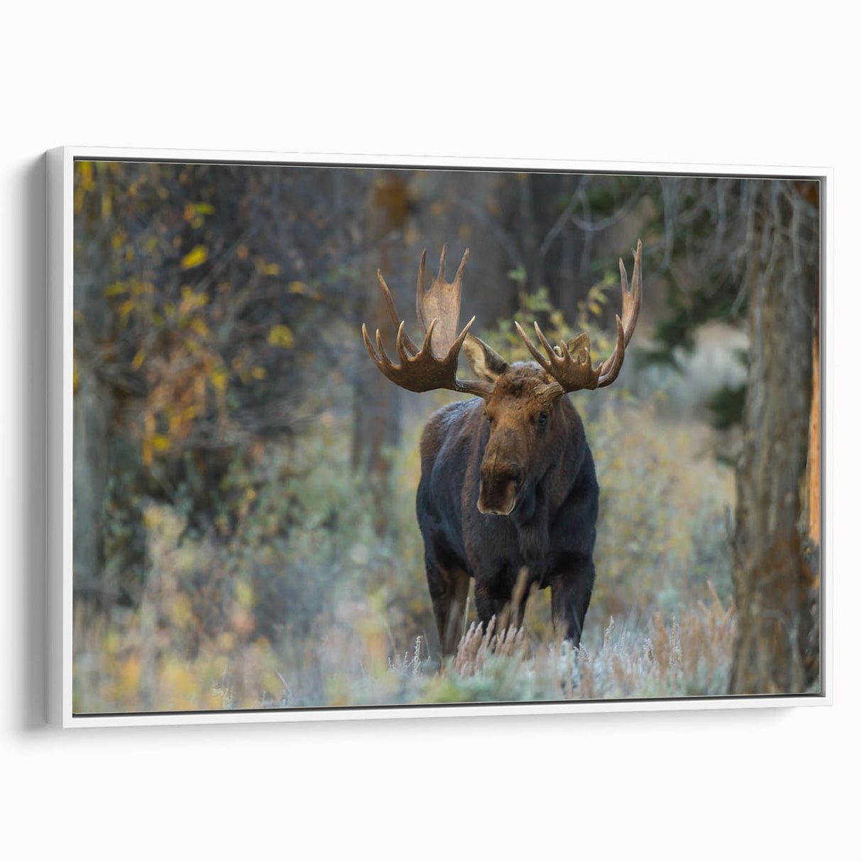 Framed wall art collection showcasing moose and elk in a serene wilderness setting, featuring earthy tones and intricate details, perfect for nature enthusiasts.