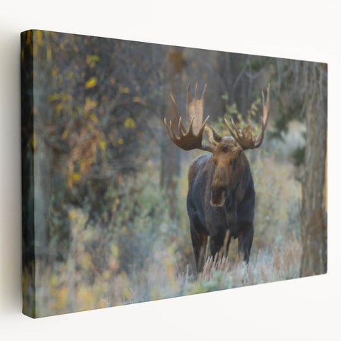 Stretched canvas wall art featuring a detailed side view of a moose and elk in a forest setting, showcasing earthy tones of brown and green, perfect for wildlife enthusiasts.