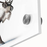 Close-up of an acrylic wall art design showcasing a moose and elk in a vibrant wildlife setting, highlighting intricate details and rich colors for nature enthusiasts.
