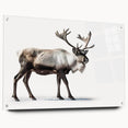 Side view of a stunning acrylic glass wall art design featuring moose and elk, showcasing vibrant colors and intricate details, ideal for wildlife enthusiasts.