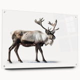 Side view of a stunning acrylic glass wall art design featuring moose and elk, showcasing vibrant colors and intricate details, ideal for wildlife enthusiasts.