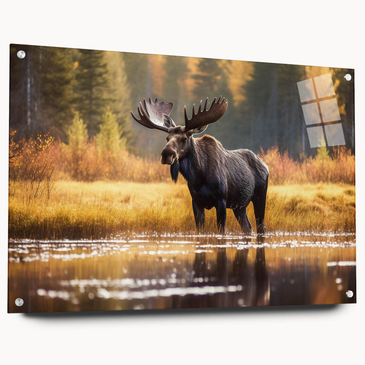 Side view of a wall art collection featuring moose and elk designs, printed on acrylic glass and mounted with pins, showcasing vibrant colors and intricate details.