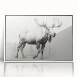 Framed wall art collection showcasing a moose and elk design, featuring a white frame and acrylic front, perfect for adding a touch of wilderness decor to any space.