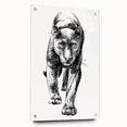 Side view of a sleek acrylic wall art piece featuring a striking panther design, showcasing vibrant colors and intricate details, perfect for wildlife enthusiasts and modern decor.