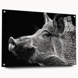 Acrylic glass wall art featuring a side view of a whimsical pig design, showcasing vibrant colors and intricate details, perfect for animal lovers' decor.