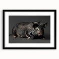 Framed wall art featuring a whimsical pig design from the Wild Life collection, showcasing vibrant colors and a sleek black frame, ideal for animal lovers' decor.