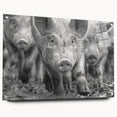 Acrylic wall art featuring a vibrant and colorful pig design from the Animals A Wild Life collection, displayed in a side view with decorative pins for mounting.