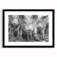 Wall art featuring a whimsical pig design with vibrant colors, framed in black with a mat for a polished look, perfect for animal lovers and home décor enthusiasts.