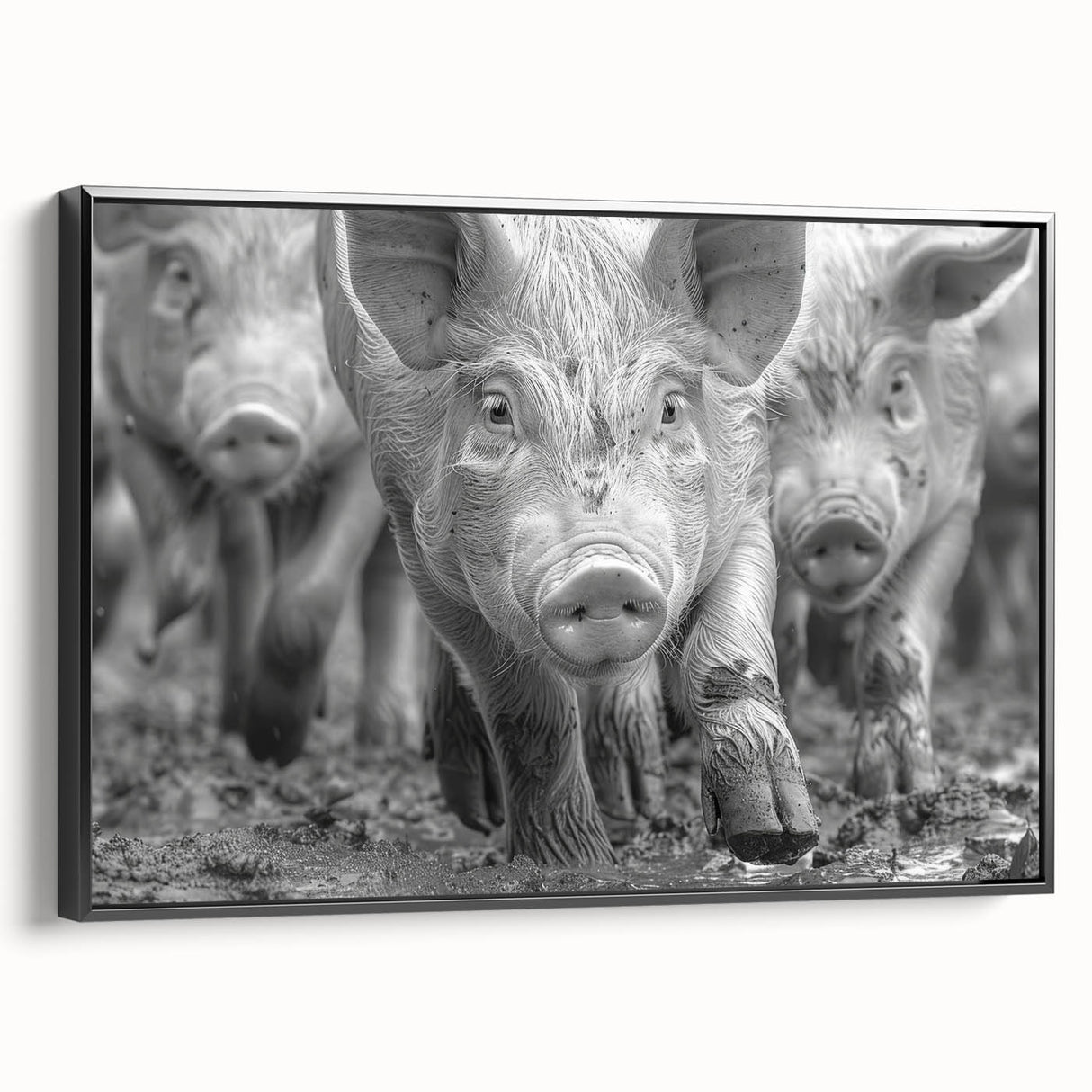Framed canvas wall art featuring a whimsical pig design, showcasing vibrant colors against a black background, ideal for animal lovers and modern decor enthusiasts.