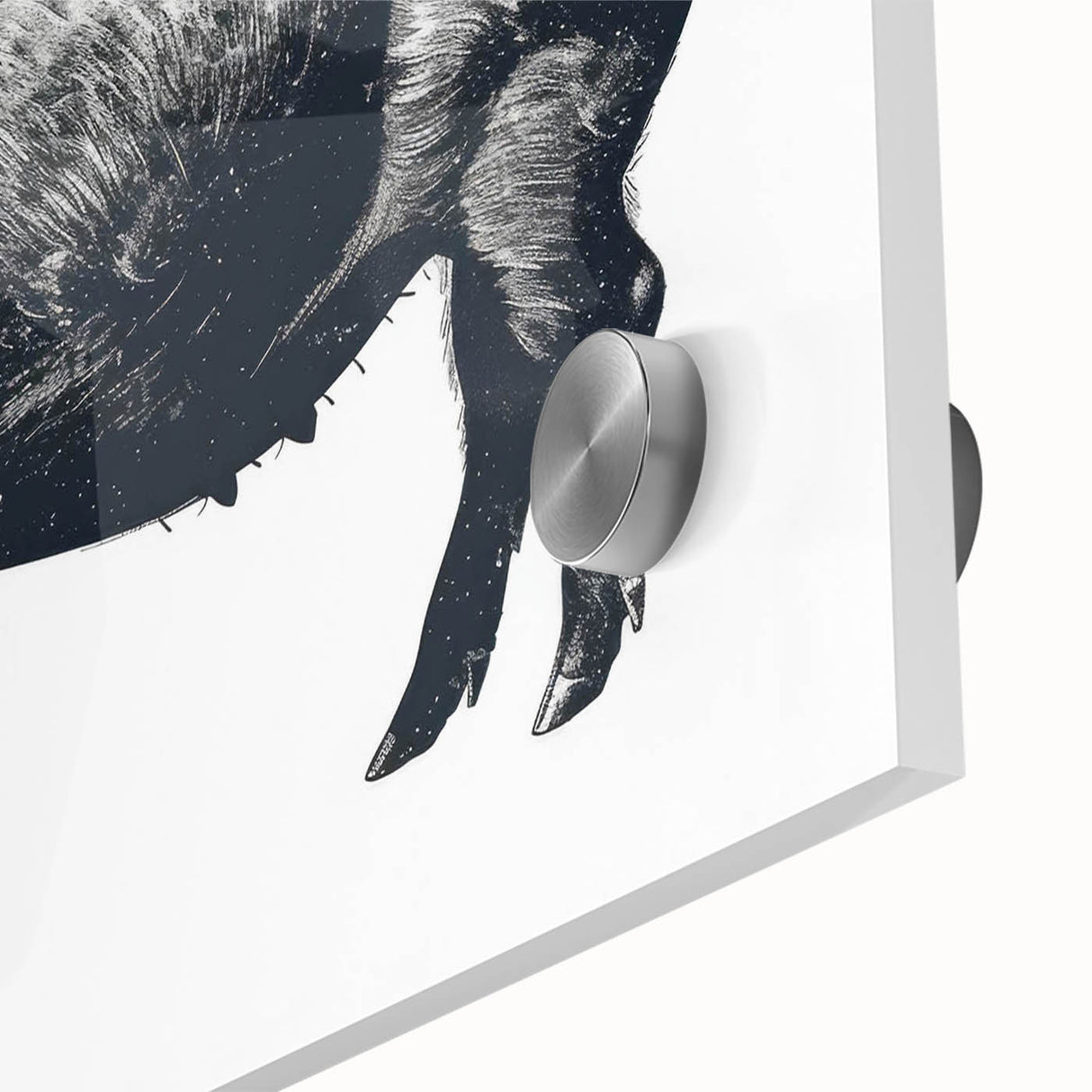 Close-up of a vibrant pig design wall art print on acrylic glass, showcasing intricate details and vivid colors, perfect for animal lovers and home decor enthusiasts.