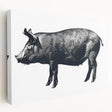 Stretched canvas wall art featuring a whimsical pig design from the "Animals A Wild Life" collection, showcasing vibrant colors and playful details, perfect for animal lovers.