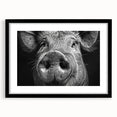 Framed wall art featuring a whimsical pig design from the Animals a Wild Life collection, showcasing a black mat and sleek frame, ideal for animal lovers' decor.