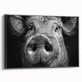 Framed canvas wall art featuring a playful pig design from the Animals A Wild Life collection, showcasing vibrant colors and intricate details against a black background. Perfect for animal lovers and home decor enthusiasts.