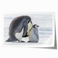 Artistic wall print featuring a playful penguin design on a vibrant blue background, ideal for adding a whimsical touch to home decor. Perfect for animal lovers, this rolled print adds personality to any space.