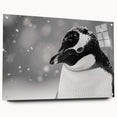 Acrylic wall art collection showcasing a side view of a penguin design, featuring vibrant colors and detailed textures, ideal for animal lovers and home decor enthusiasts.