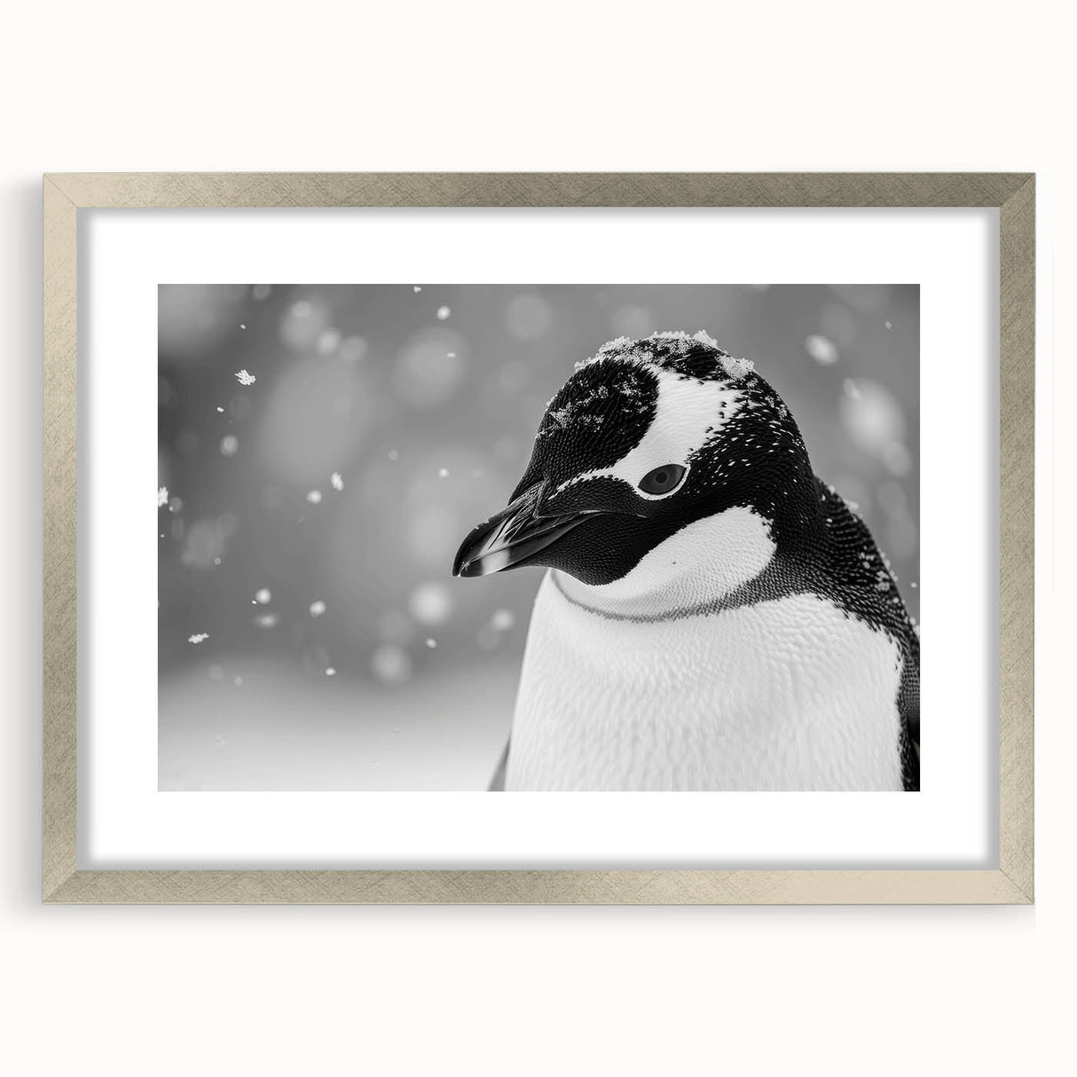 Framed wall art featuring a charming penguin design from the "Animals A Wild Life" collection, with a silver mat and sleek front view, perfect for animal lovers' decor.