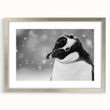 Framed wall art featuring a charming penguin design from the "Animals A Wild Life" collection, with a silver mat and sleek front view, perfect for animal lovers' decor.