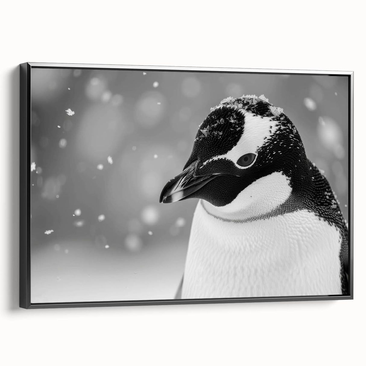 Framed canvas wall art featuring a black penguin design in a sleek side view, perfect for wildlife enthusiasts and modern decor. Ideal for adding sophistication to any space.
