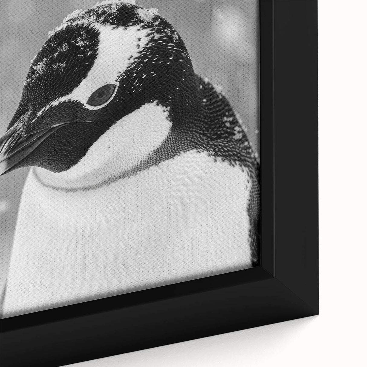 Close-up of a framed canvas print showcasing a colorful penguin design from the "Animals: A Wild Life" collection, highlighting intricate details and vibrant hues, perfect for wildlife enthusiasts and home decor.