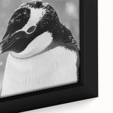 Close-up of a framed canvas print showcasing a colorful penguin design from the "Animals: A Wild Life" collection, highlighting intricate details and vibrant hues, perfect for wildlife enthusiasts and home decor.